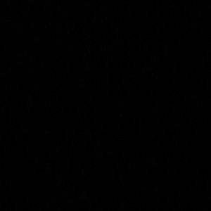 Meet your Posher, Susie